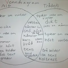 Venn-diagram som jämför Alf och Trädet. Alf gillar vinter, böcker och människor. Trädet gillar inte vinter, men tycker om vatten och höst. I mitten finns saker som kan dikt vara, som snö, känslor och barn.