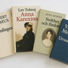 Fyra böcker: "Främlingen" av Camus, "Anna Karenina" av Tolstoj, "Stolthet och fördom" av Austen och "Utvandrarna" av Moberg. Dessa klassiker visar vad som kan menas med en novell, en kort berättelse.