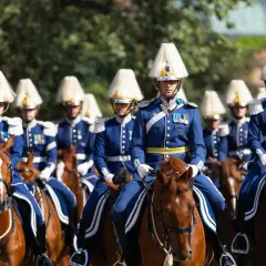 Livgardet i sina blå uniformer och höga hattar rider på bruna hästar.