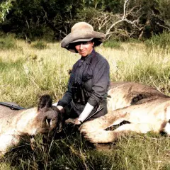 En kvinna med hatt och kikare sitter bland två lejon. Hon påminner om Karen Blixens alter ego, redo för äventyr i Afrika.